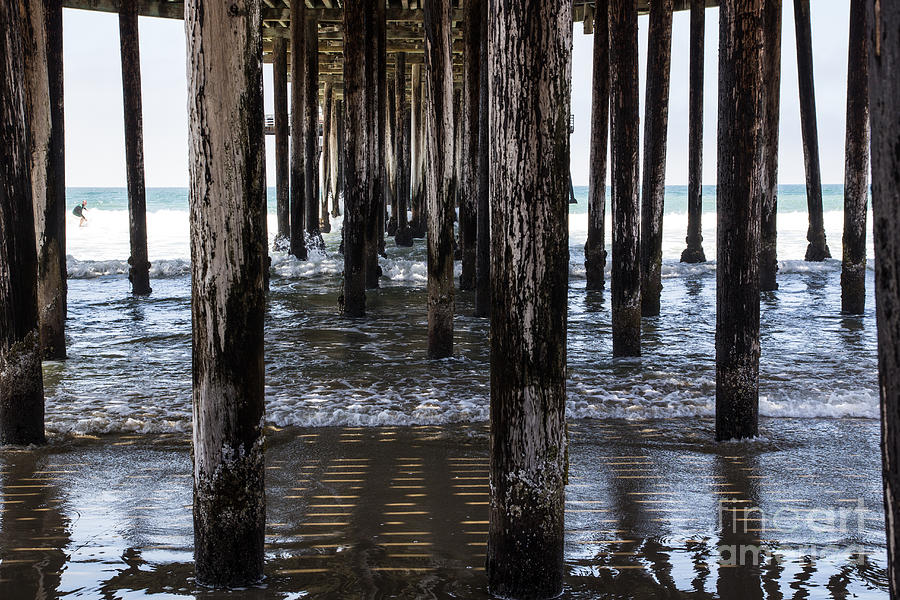 Under The Pier Photograph by Suzanne Luft