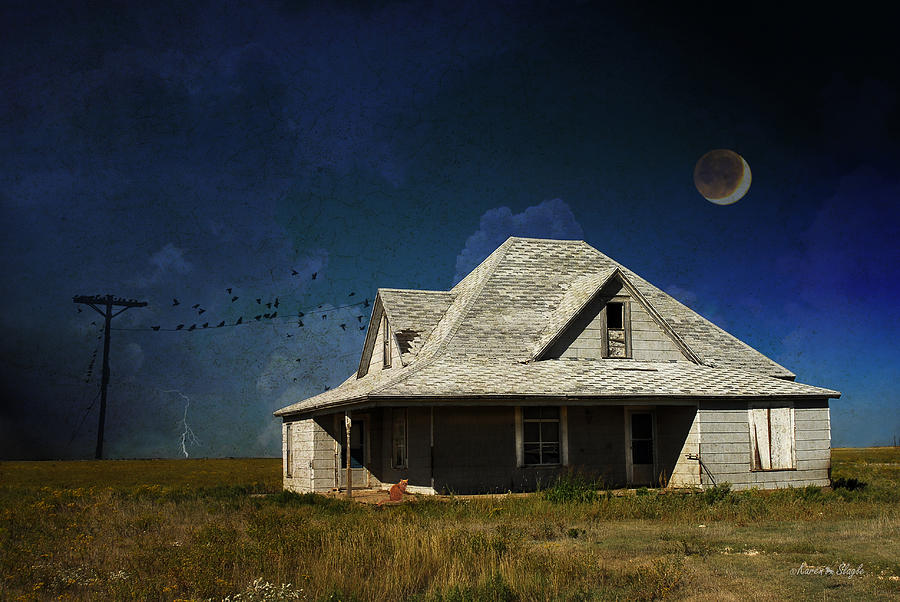 Vintage Photograph - Under the Prairie Moon by Karen Slagle