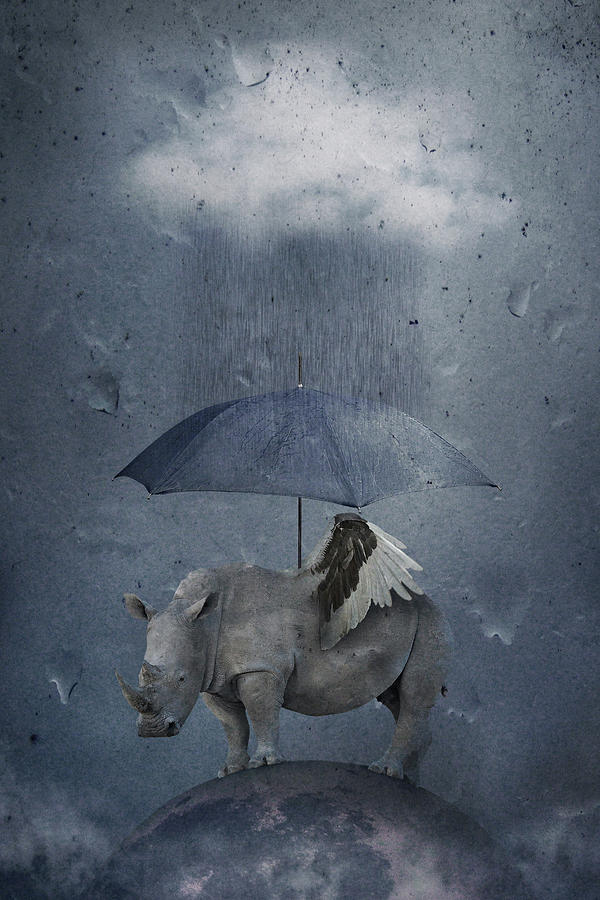 Animal Photograph - Under The Rain by Muriel Vekemans