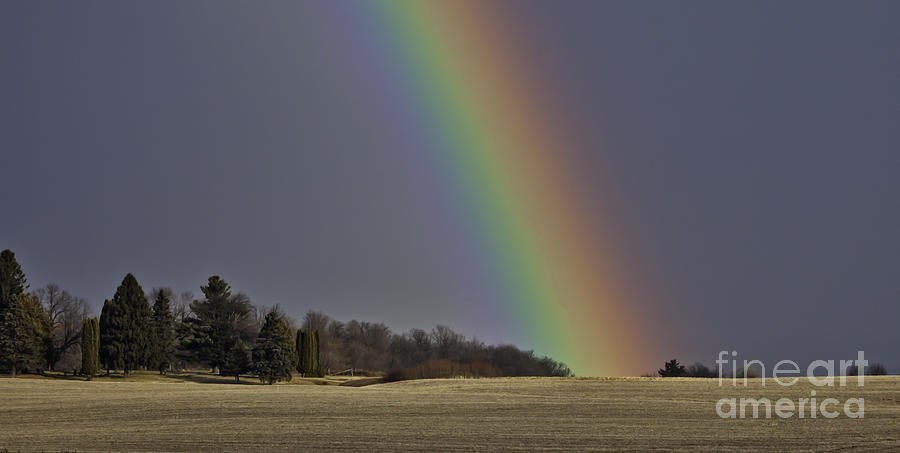Under the Rainbow Photograph by Jan Killian