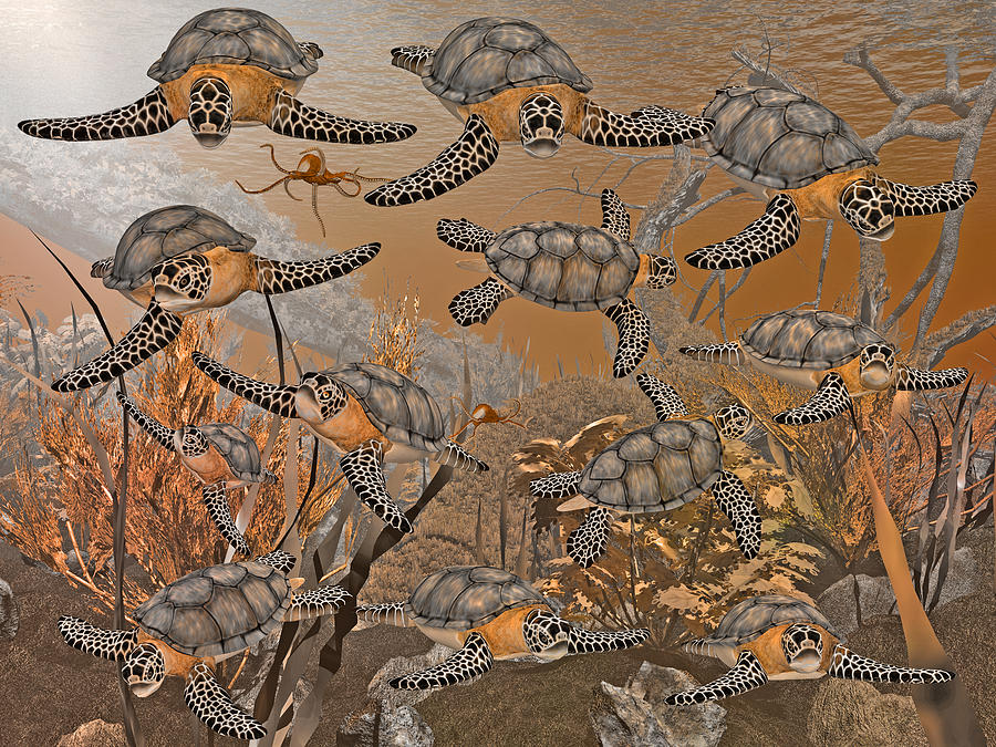 Turtle Digital Art - Under the Red Sea II by Betsy Knapp