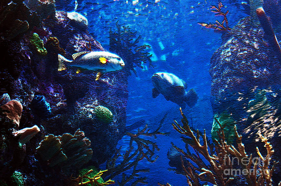 Under The Sea Photograph by Lydia Holly