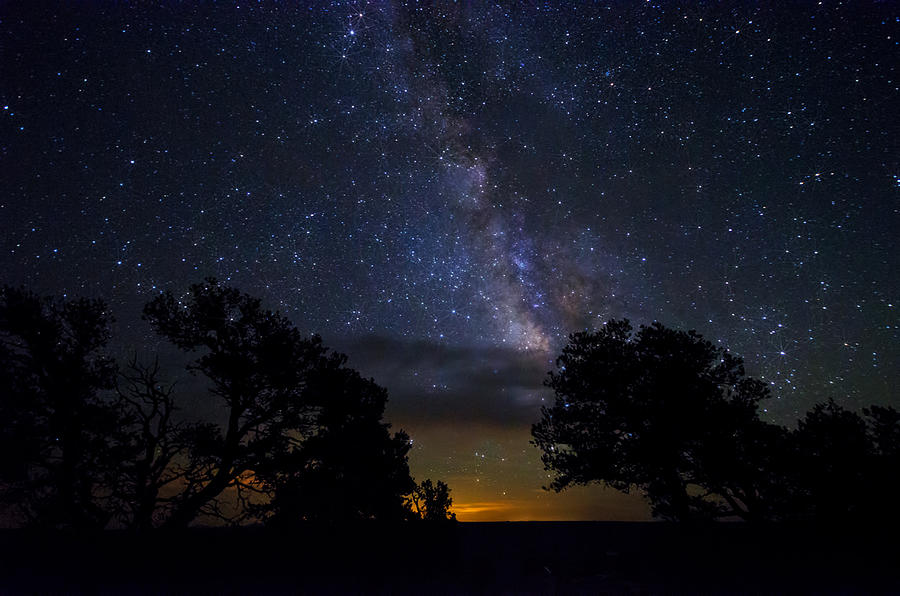 Under The Stars at the Grand Canyon  Photograph by Saija Lehtonen