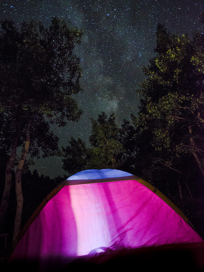 Under the Stars Photograph by Greg Nyquist