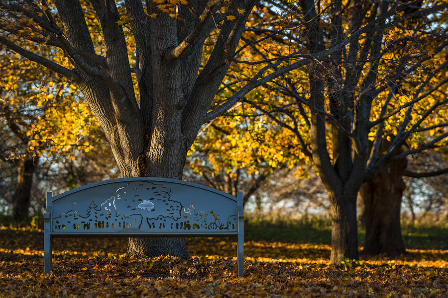 Fall Photograph - Under The Tree by Sebastian Musial