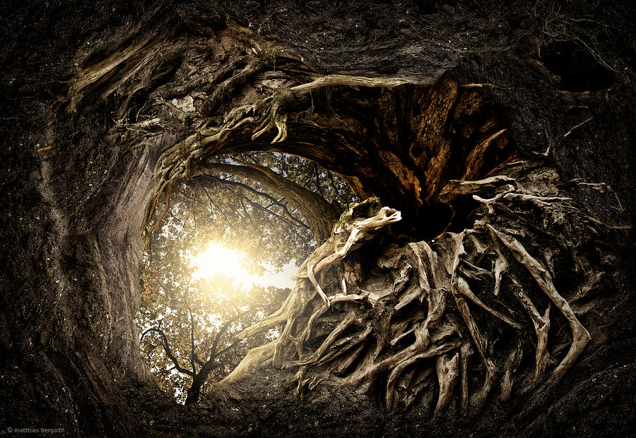 Fantasy Photograph - Under The Trees #1 by Matthias Bergolth