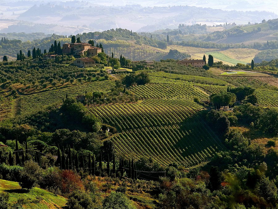 Under The Tuscan Sun Photograph by Ira Shander