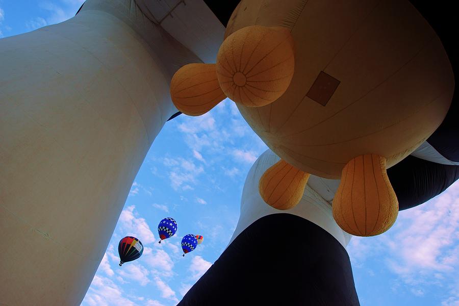 Under the Udders at Balloon Fiesta Photograph by Daniel Woodrum