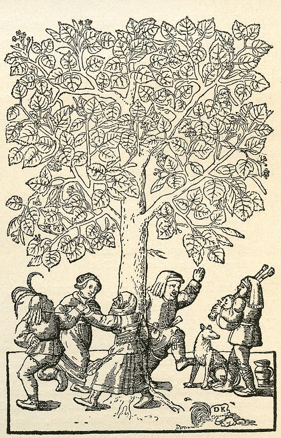 Tree Photograph - Under The Village Linden Tree, After A 16th Century Engraving By  Kandel.  From Illustrierte by Bridgeman Images