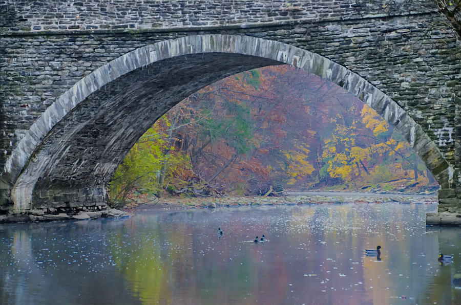 Under Valley Green Bridge in Autumn Photograph by Bill Cannon