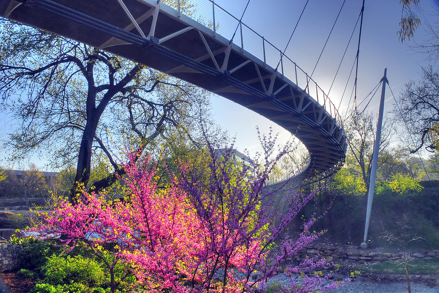 Underneath The Liberty Bridge in Downtown Greenville SC Photograph by Willie Harper