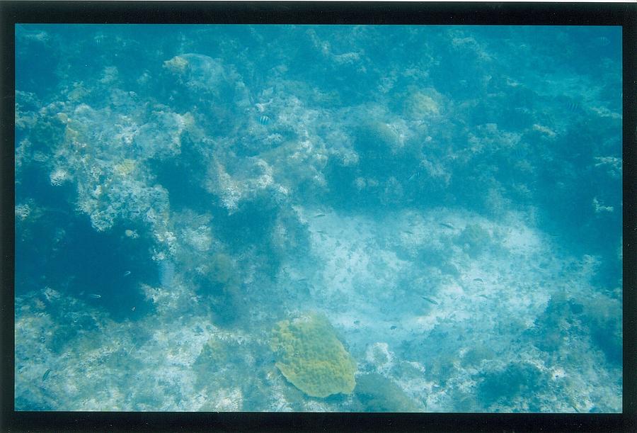 Underwater 6 Photograph by Robert Nickologianis