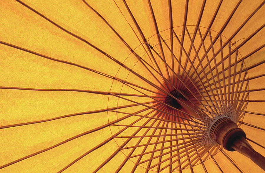 Underside Of Yellow Parasol, Symbol Of Photograph by Antony Giblin Underside Of Yellow Parasol, Symbol Of Photograph by Antony Giblin