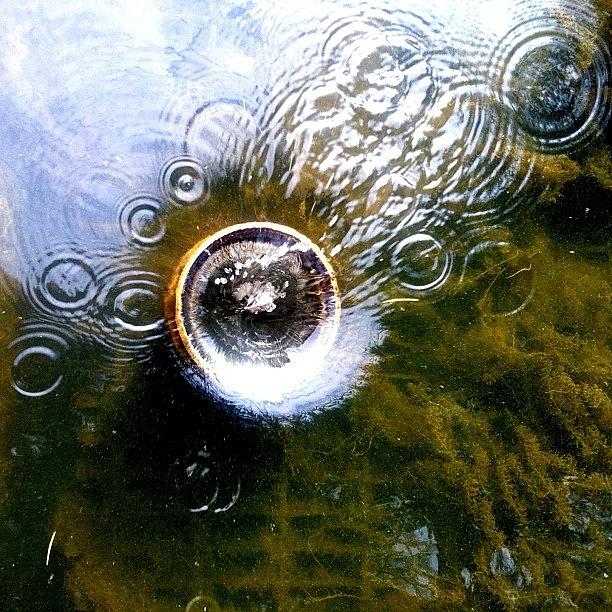 Pipe Photograph - Underwater Drain Pipe

#ripples by Dan Warwick