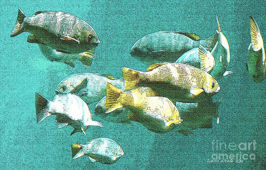 Underwater Fish Swimming By Digital Art by Artist and Photographer Laura Wrede