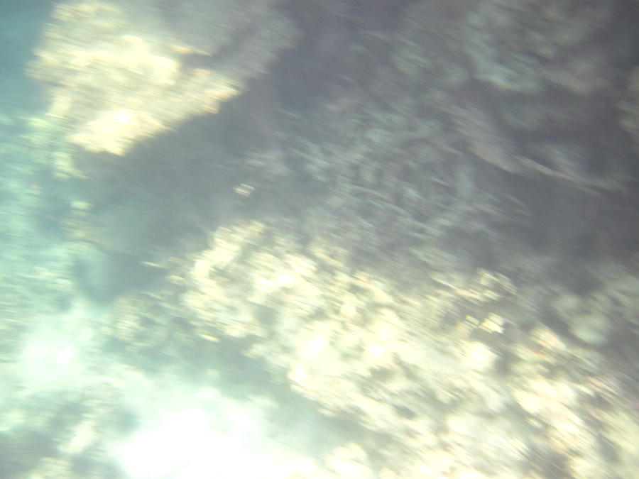 Fish Photograph - Underwater - Long Boat Tour - Phi Phi Island - 011382 by DC Photographer