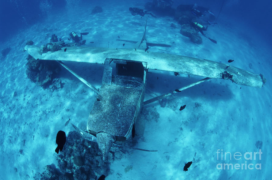 Underwater plane wreck off Tahiti Photograph by Spl