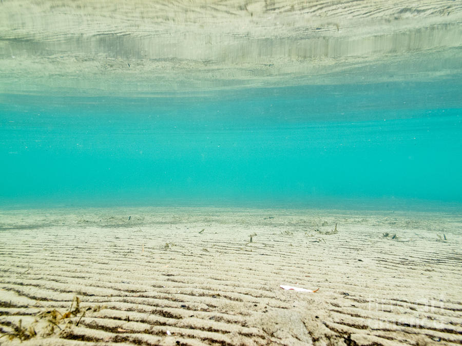 Abstract Photograph - Underwater Sand Beach by Stephan Pietzko
