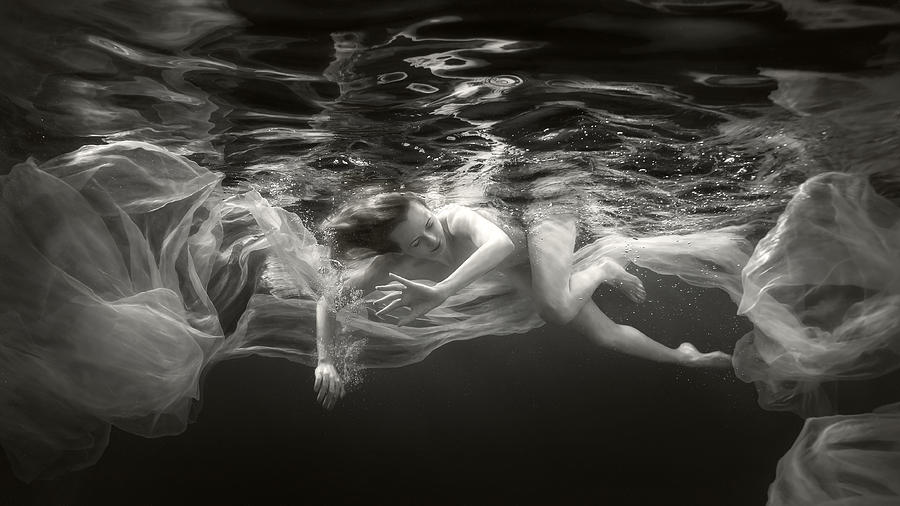 Underwater Symphony Photograph By Dmitry Laudin Fine Art America 