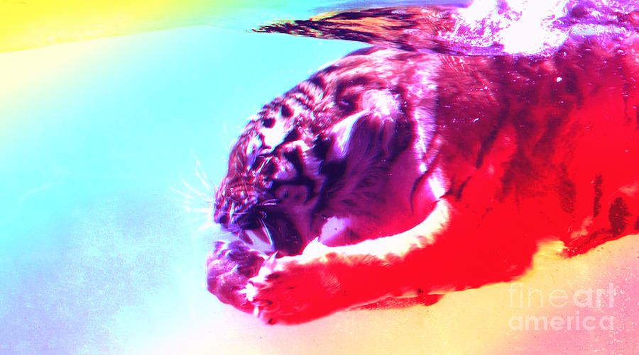 Underwater Tiger Digital Art By Maryfornia Collections Fine Art America
