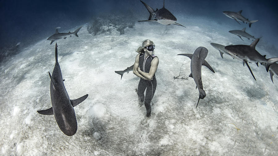 Underwater view of female free diver standing on seabed surrounded by reef sharks, Bahamas Photograph by Ken Kiefer 2