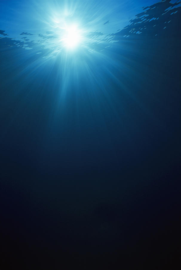 Underwater view of sunbeams Photograph by Jeff Rotman