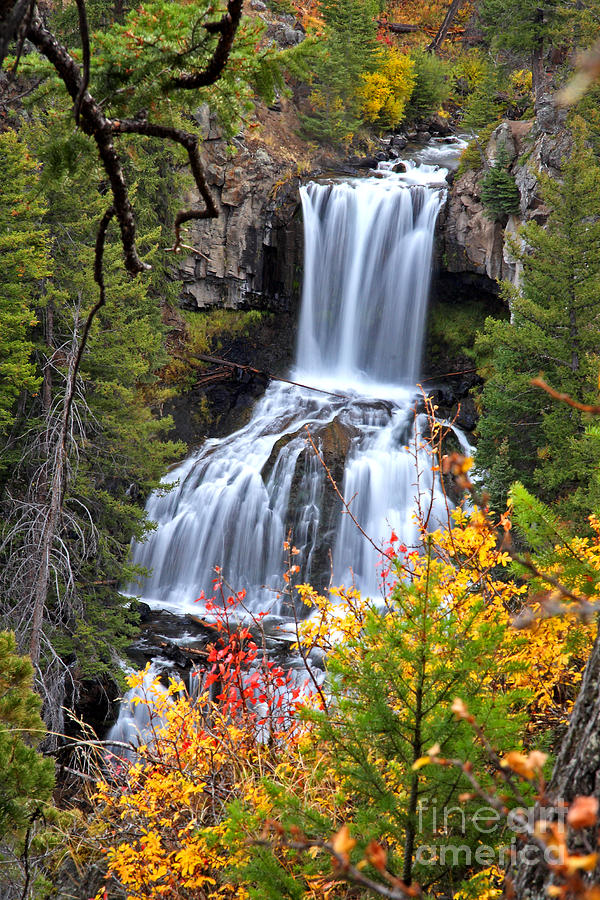 Undine Falls Photograph by Bill Singleton