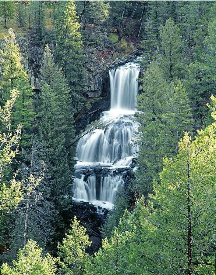 109008-Undine Falls in Yellowstone Photograph by Ed  Cooper Photography