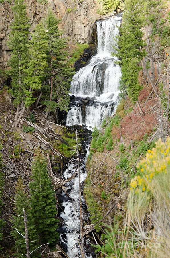 Undine Falls In Yellowstone National Park Wyoming Usa Photograph By