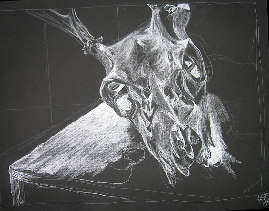 Unfinished Animal Skull Painting by Valerie Bloom
