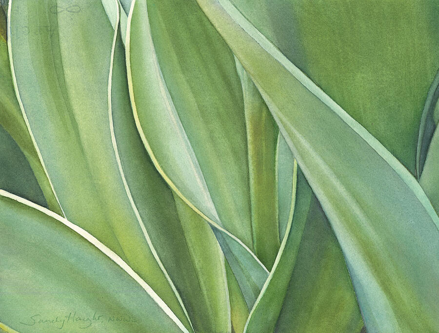 Unfolding Tulip Leaves Painting by Sandy Haight
