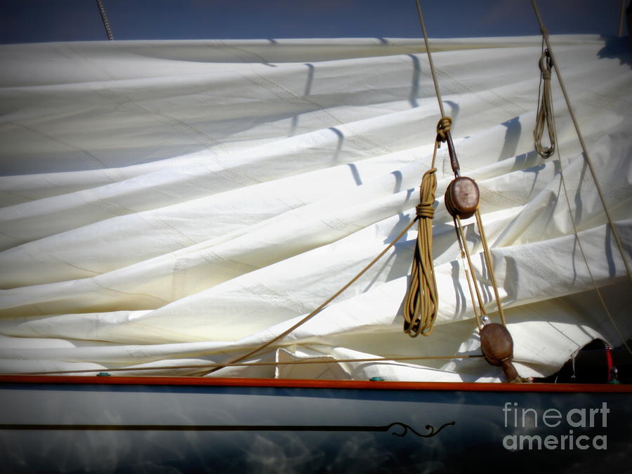 Unfurled Sail Photograph by Lainie Wrightson