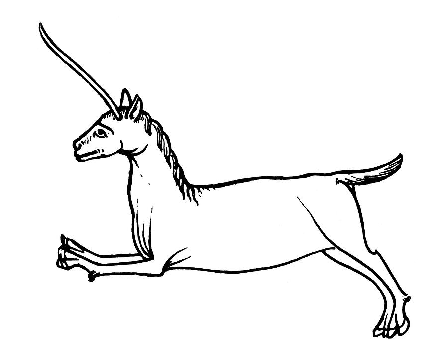 Unicorn Drawing - Unicorn, 12th Century by Granger