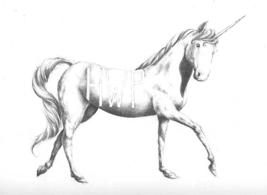 Unicorn Drawing - Unicorn by Alexander M Petersen