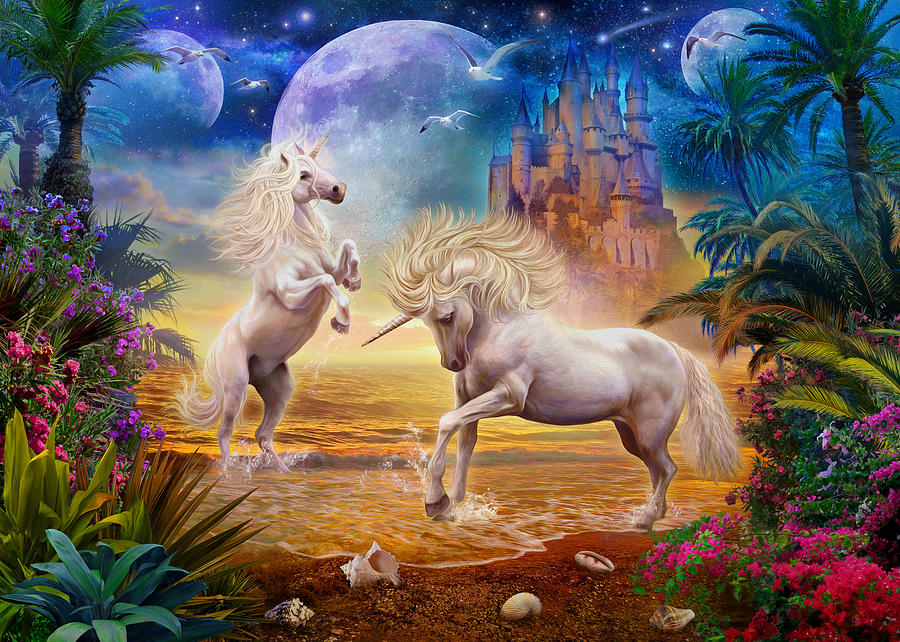 Unicorn Beach Photograph by MGL Meiklejohn Graphics Licensing