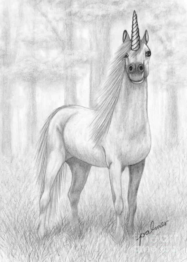 Unicorn Drawing by Rita Palmer