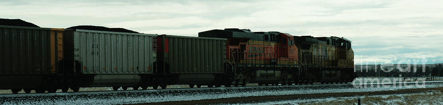 Union Pacific 5995 Photograph by Linda Shafer