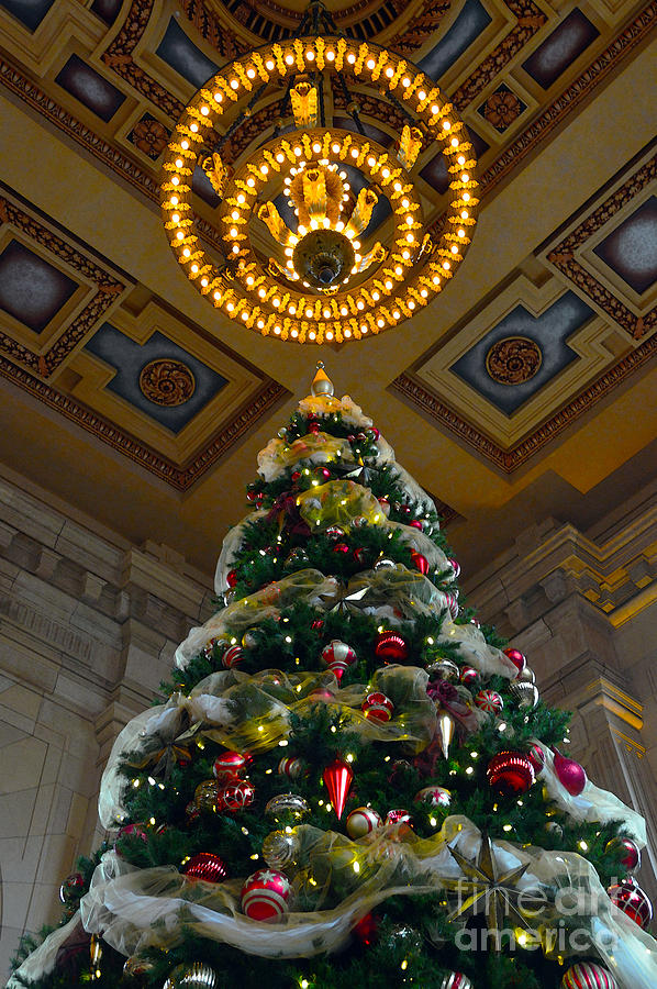 Union Station Christmas Tree Photograph by Catherine Sherman