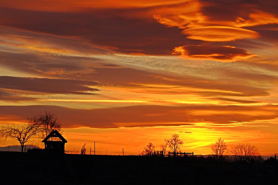 Unique sunset Photograph by Lynn Hopwood