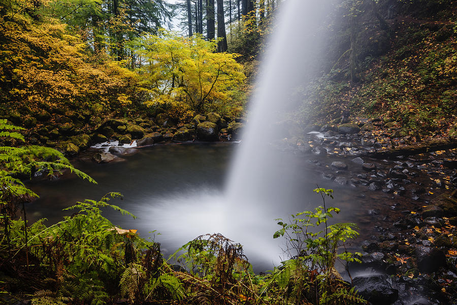 Unique view of Ponytail falls Photograph by Vishwanath Bhat