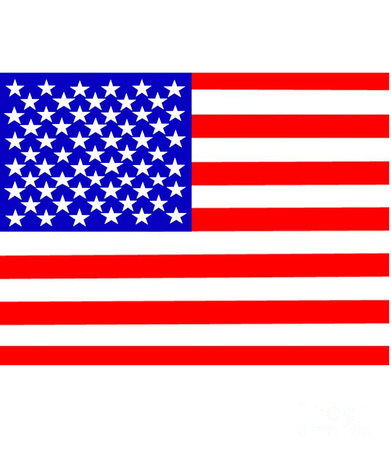 Flag Digital Art - United States 50 Stars Flag by Frederick Holiday