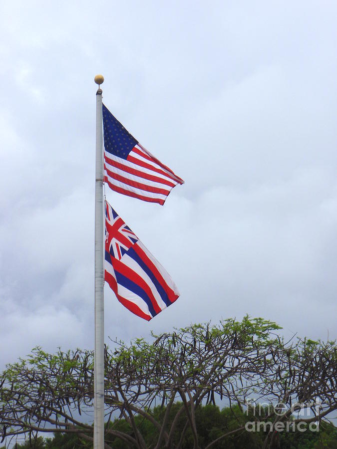 United States and Hawaii Flags Photograph by Mary Deal