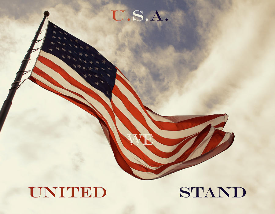 United We Stand Photograph by Tony Grider