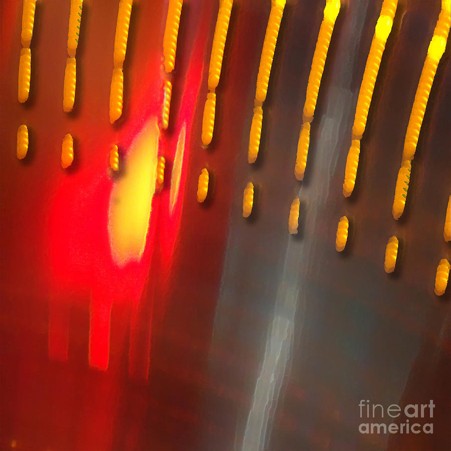 Unity by Photographs In Motion Unity by Photographs In Motion