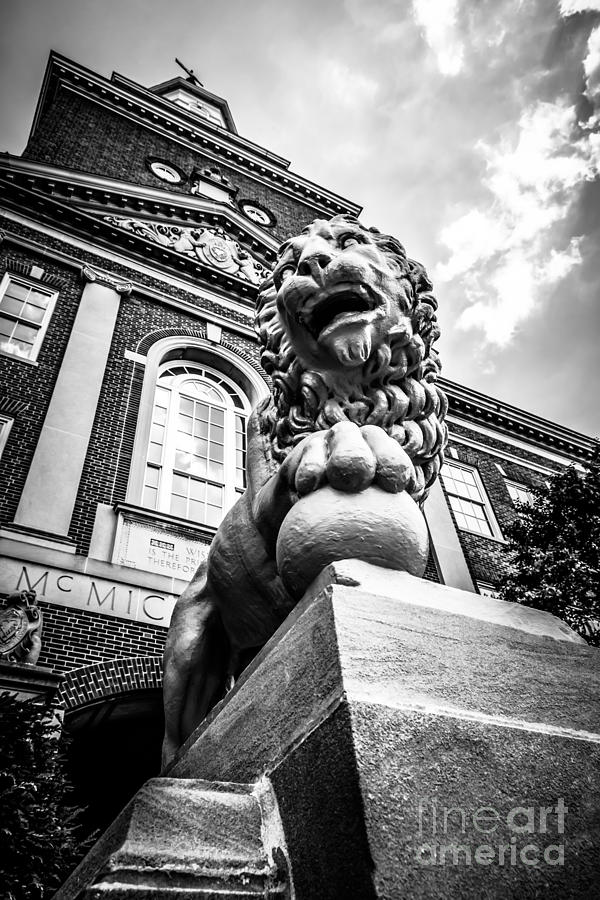 Cincinnati Photograph - University of Cincinnati Lion Black and White Picture by Paul Velgos