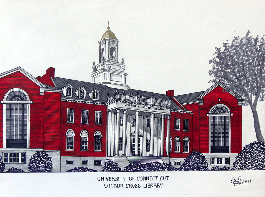 University of Connecticut Drawing by Frederic Kohli