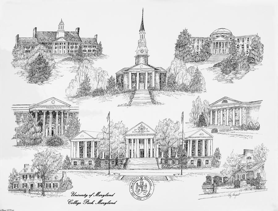 university of maryland download illustrator