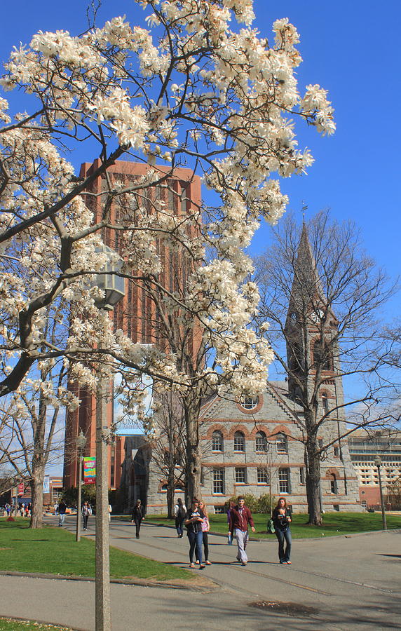 University of Massachusetts Old Chapel and Library in Spring Photograph by John Burk