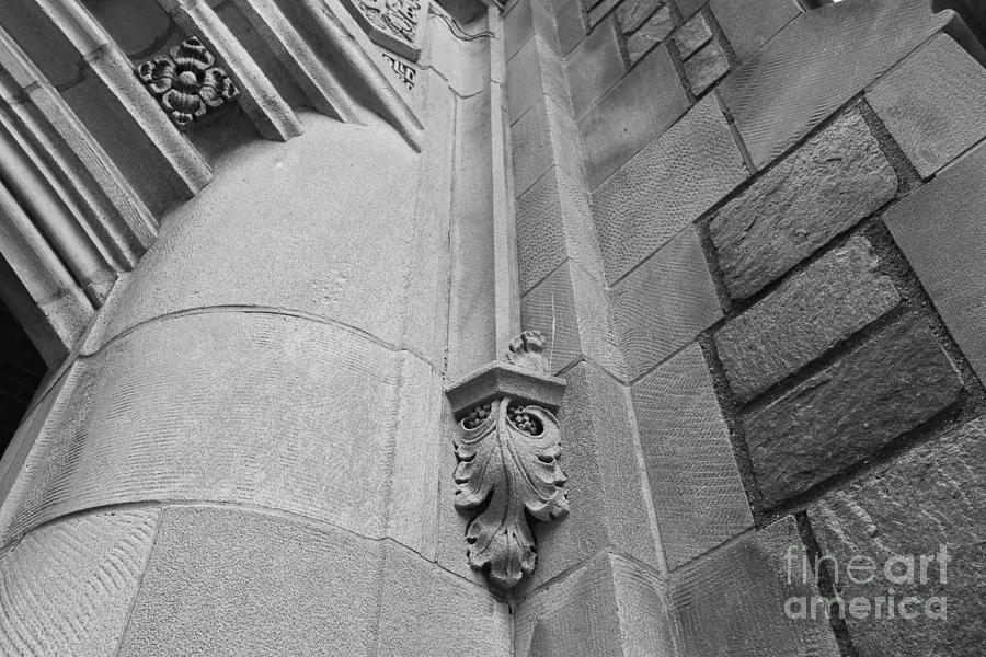 University of Michigan Law Library Detail Photograph by University Icons