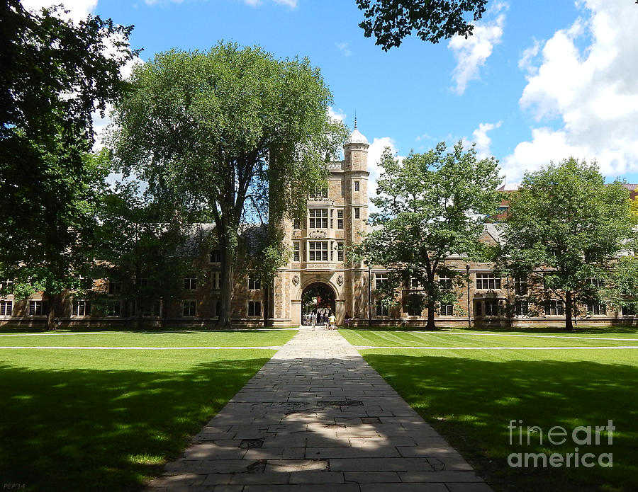University Of Michigan Photograph - University of Michigan Law Quad by Phil Perkins